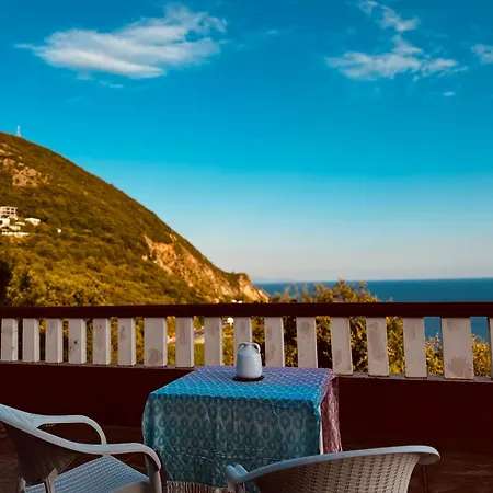 Felix Budva