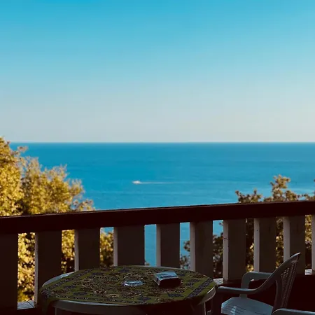 Felix Budva