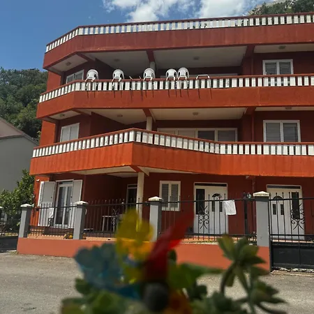 Felix Budva